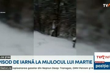 Iarna s-a întors în mai multe județe. Mașini înzăpezite și circulație în condiții de iarnă pe șosele