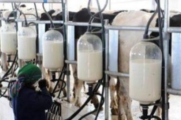 Importurile de lapte s-au redus cu 37% în ianuarie 2023 faţă de aceeaşi perioadă a anului trecut