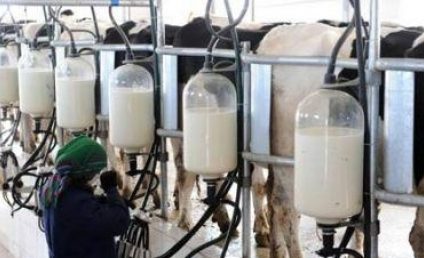 Importurile de lapte s-au redus cu 37% în ianuarie 2023 faţă de aceeaşi perioadă a anului trecut