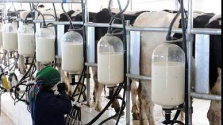 importurile-de-lapte-s-au-redus-cu-37%-in-ianuarie-2023-fata-de-aceeasi-perioada-a-anului-trecut