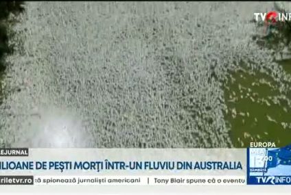 Milioane de peşti morţi plutesc pe un fluviu din sud-estul Australiei