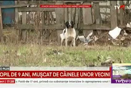 Un copil 9 ani din Bucureşti a ajuns la spital, după ce a fost muşcat de câinele unor vecini