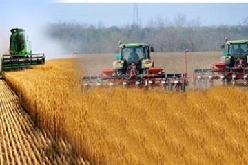 Producţia de cereale a României a scăzut anul trecut cu peste 32%, până la 18,8 milioane de tone
