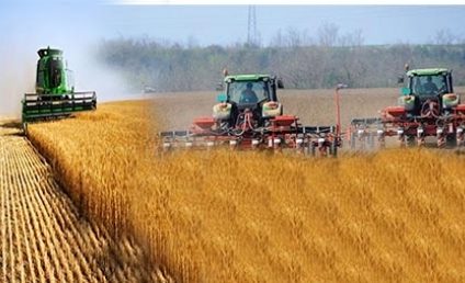 Producţia de cereale a României a scăzut anul trecut cu peste 32%, până la 18,8 milioane de tone