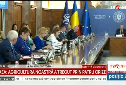 Ministrul Agriculturii, Petre Daea, în ședința de guvern: Vă cer sprijin, stimați colegi, să nu mă lăsați în luptă singur, că-s multe puști pe mine! Dacă grupul de lucru stă și cântă la mandolină și se uită pe pereți…