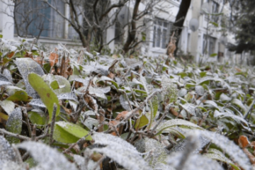 Informare meteo de vreme rece, brumă noaptea şi dimineaţa şi intensificări ale vântului, valabilă în toată ţara până sâmbătă dimineaţa