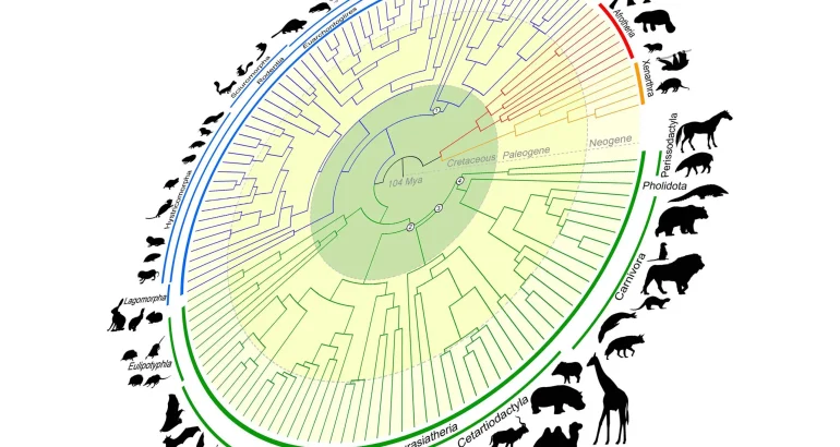 arborele-vietii-mamiferelor-redefinit:-masina-timpului-genomic-urmareste-100-de-milioane-de-ani-de-evolutie-–-scitechdaily