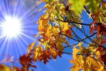 Mai, cea mai călduroasă, dar şi cea mai instabilă lună a primăverii. Temperatura maximă absolută este 40,8 grade Celsius, iar cea minimă, minus 16 grade