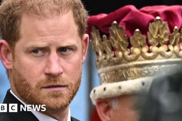 Prințul Harry pleacă singur după ce a participat la Coronation – BBC