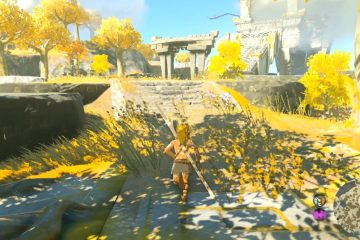 Recenziile utilizatorilor Zelda: Tears of the Kingdom merg de la o extremă la alta – Eurogamer.net