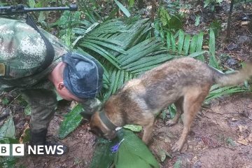 Accident aviatic în Columbia: Se pare că copiii au supraviețuit 16 zile în junglă – BBC