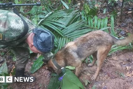 Accident aviatic în Columbia: Se pare că copiii au supraviețuit 16 zile în junglă – BBC