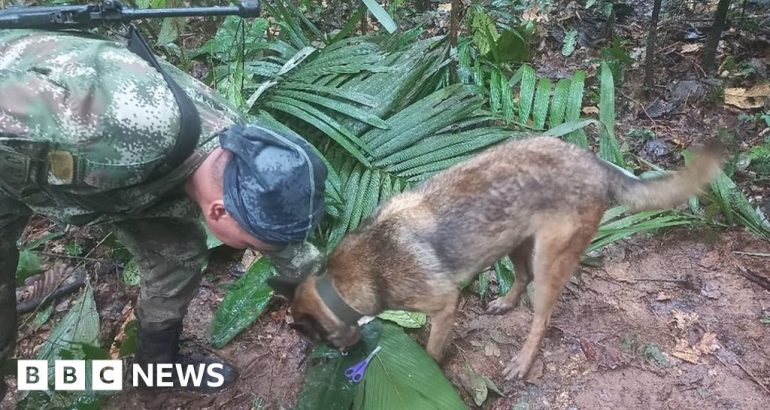 accident-aviatic-in-columbia:-se-pare-ca-copiii-au-supravietuit-16-zile-in-jungla-–-bbc