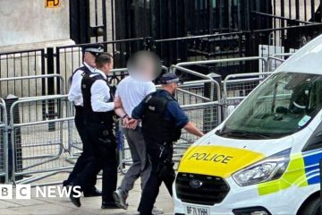 Bărbat arestat după ce o mașină s-a izbit de porțile din Downing Street – BBC
