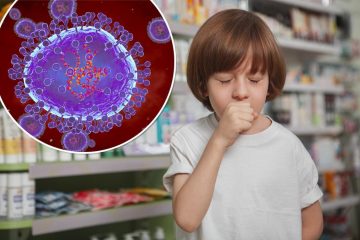 Ce este HMPV?  „Cel mai important virus despre care nu ați auzit niciodată” crește cu 36%: CDC – New York Post