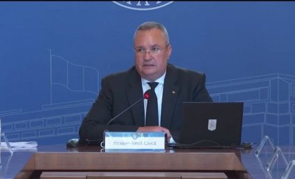 Guvernul ia în calcul aprobarea unor scheme de ajutor de stat pentru marii consumatori