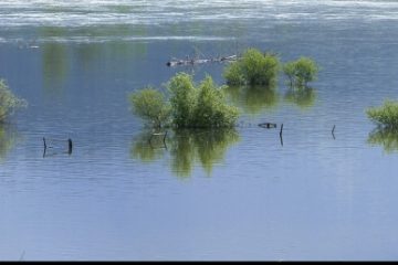 INHGA: Cod galben de inundaţii până la ora 22:00 pe râuri din județele Alba, Cluj, Sibiu, Hunedoara, Caraş-Severin, Timiş, Vâlcea, Argeş şi Dâmboviţa