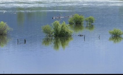 INHGA: Cod galben de inundaţii până la ora 22:00 pe râuri din județele Alba, Cluj, Sibiu, Hunedoara, Caraş-Severin, Timiş, Vâlcea, Argeş şi Dâmboviţa