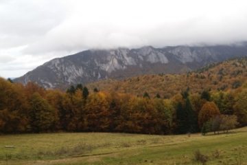 Minimă de 1,1 grade Celsius, înregistrată la Miercurea-Ciuc, cea mai scăzută temperatură din ţară