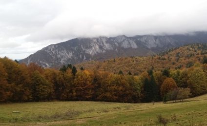 Minimă de 1,1 grade Celsius, înregistrată la Miercurea-Ciuc, cea mai scăzută temperatură din ţară