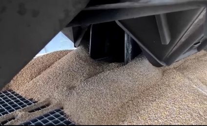 Polonia și Ungaria extind interdicţia asupra importului de cereale ucrainene, după ce Bruxellesul a refuzat să o prelungească