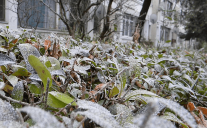 Harghita: Minus 10 grade Celsius la Miercurea-Ciuc, cea mai scăzută temperatură din ţară