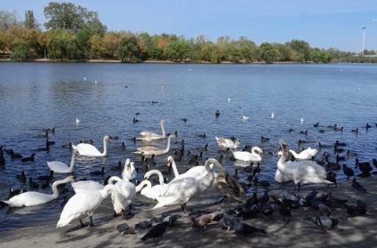 Sâmbătă a fost cea mai caldă zi de 21 octombrie de când se fac măsurători în România