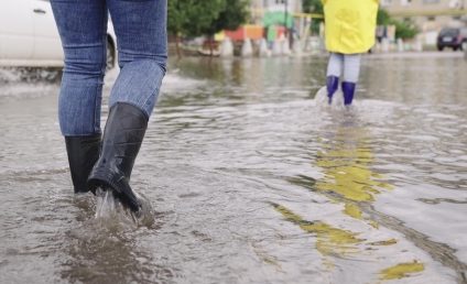 Guvernul a aprobat acordarea de ajutoare de urgenţă, în valoare de aproximativ 375.000 lei, pentru familii afectate de inundaţii sau incendii