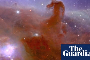 Euclid telescope sends back first images from ‘dark universe’ mission – The Guardian