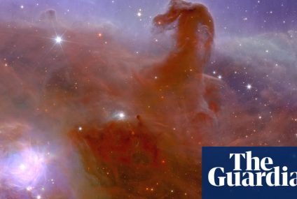 Euclid telescope sends back first images from ‘dark universe’ mission – The Guardian