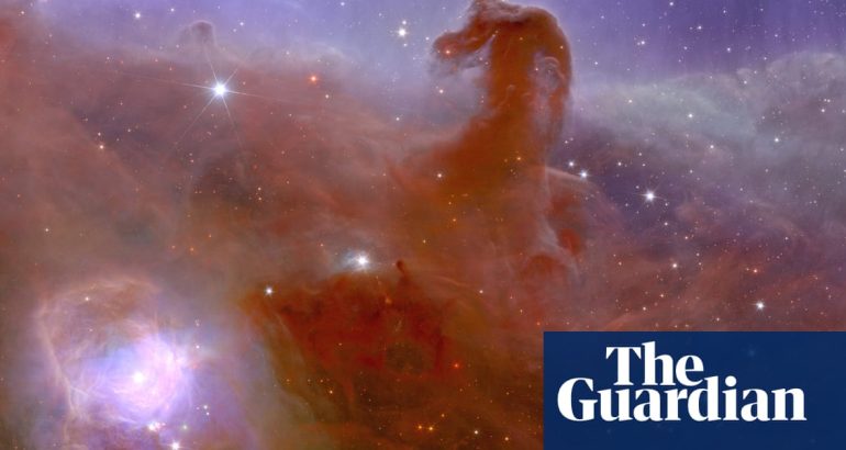 euclid-telescope-sends-back-first-images-from-‘dark-universe’-mission-–-the-guardian
