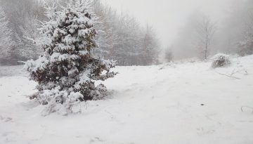 Strat de zăpadă de 7-8 centimetri în zonele mai înalte din judeţul Sălaj