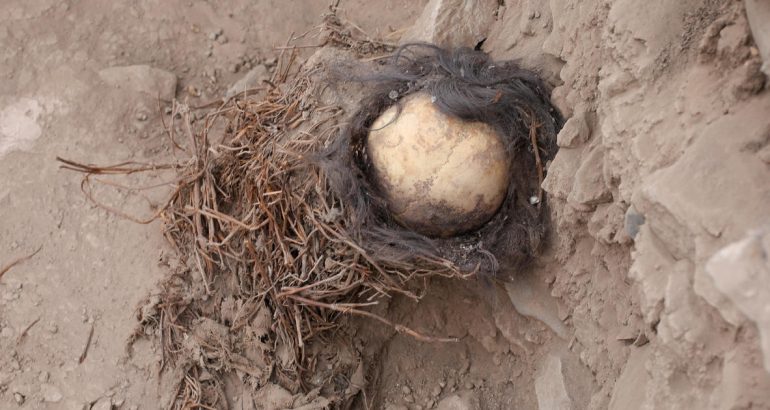 archaeologists-discover-mummies-of-children-that-may-be-at-least-1,000-years-old-–-and-their-skulls-still-had-hair-on-them-–-cbs-news