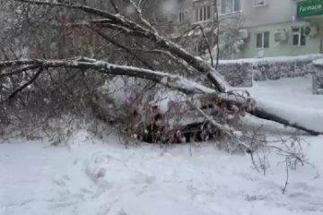 Cursurile în școlile din județele Brăila, Galați, Tulcea, Constanța și Călărași sunt suspendate luni, din cauza condițiilor meteorologice