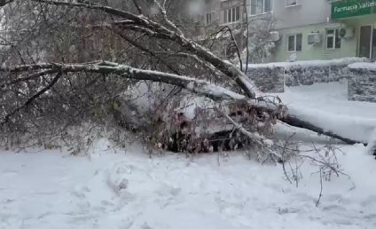 Cursurile în școlile din județele Brăila, Galați, Tulcea, Constanța și Călărași sunt suspendate luni, din cauza condițiilor meteorologice