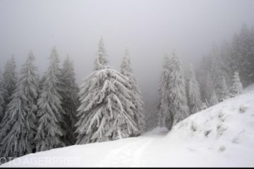 Atenţionări cod galben de viscol şi de ninsori în zone montane din regiunea Moldovei, până la ora 14.00