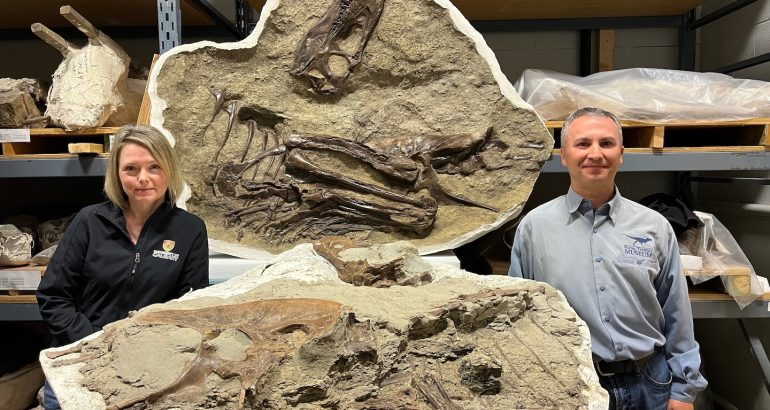 scientists-reveal-first-tyrannosaur-fossil-with-preserved-stomach-contents-–-the-washington-post