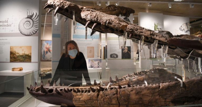 massive-sea-monster-skull-excavated-from-uk’s-‘jurassic-coast’-–-fox-news