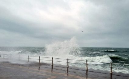 Intensificări ale vântului pe litoral şi în Delta Dunării, în orele următoare. ANM a emis o avertizare de Cod galben de intensificări ale vântului, pentru localităţi din judeţele Constanţa şi Tulcea