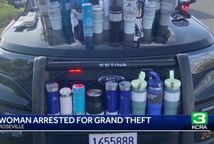 Sacramento woman accused of stealing $2,500 in Stanley cups – KCRA 3