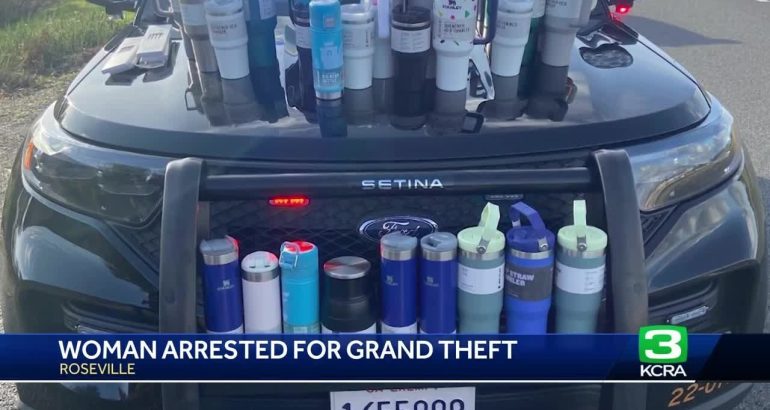 sacramento-woman-accused-of-stealing-$2,500-in-stanley-cups-–-kcra-3