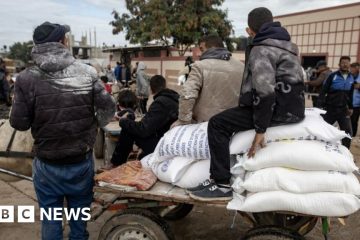 UNRWA: Gaza aid agency says it is ‘extremely desperate’ after funding halted – BBC.com