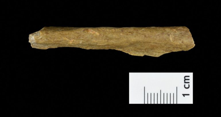 discovery-of-bones-and-tools-in-german-cave-could-rewrite-history-of-humans-and-neanderthals:-„huge-surprise”-–-cbs-news