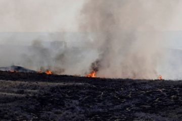 Texas’ biggest wildfire in history could spread more rapidly with dry air and fierce winds fueling flames through the weekend – CNN