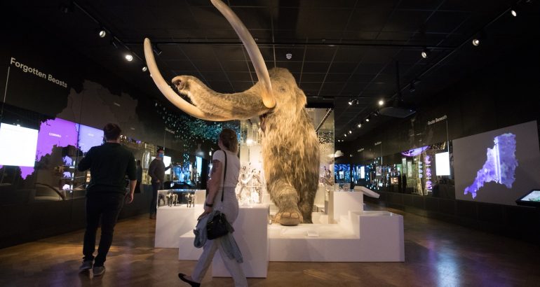 scientists-say-they’re-closer-to-reviving-mammoths.-what-could-go-wrong?-–-the-washington-post