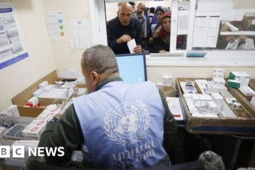 UNRWA: Sweden and Canada resume funding for UN agency for Palestinian refugees – BBC.com