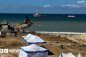 Israel-Gaza: Aid reaches Gaza shore in first sea delivery – BBC.com