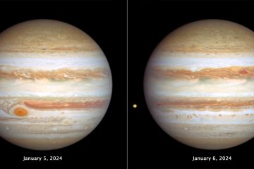 Jupiter Unveiled: Hubble Captures the Giant’s Roaring Storms and Volcanic Moon Io – SciTechDaily