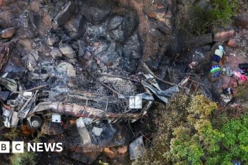 South Africa: Girl, 8, only survivor as 45 killed in bus crash – BBC.com