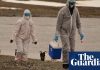 Risk of bird flu spreading to humans is ‘enormous concern’, says WHO – The Guardian